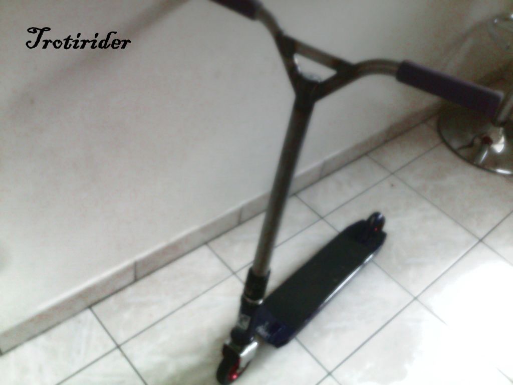 http://trotirider.com/forum/userimages/4/03022011111.jpg