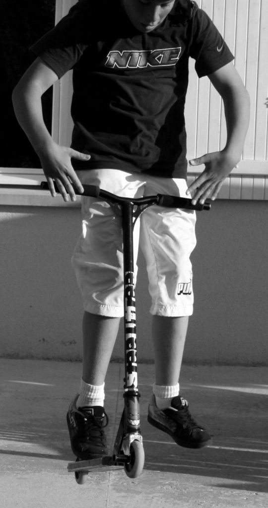 http://trotirider.com/forum/userimages/4/220085-206810369339212-100000307512385-690340-772997-o.jpg