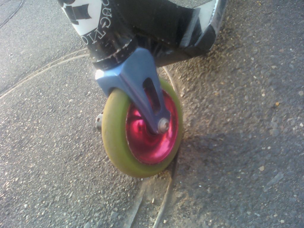 http://trotirider.com/forum/userimages/5/110818-194542.jpg