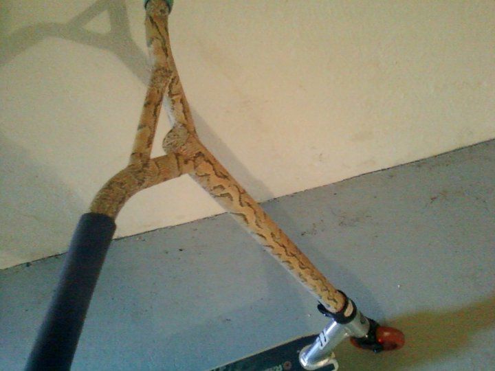 http://trotirider.com/forum/userimages/5/252429-141958059219038-100002145348888-263699-968171-n.jpg