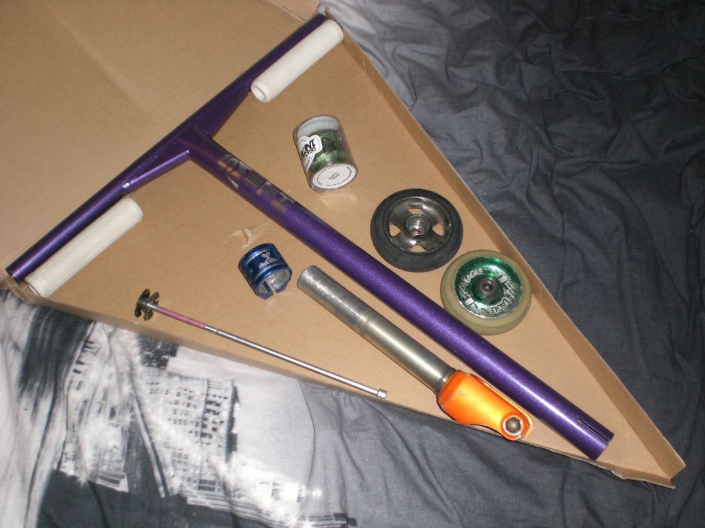 http://trotirider.com/forum/userimages/5/CIMG1036-2-1.jpg