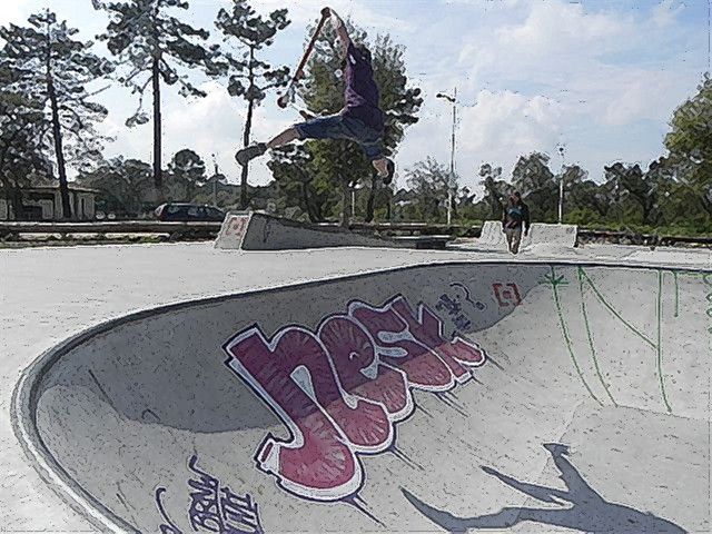 http://trotirider.com/forum/userimages/5/DSCN1094-1.JPG