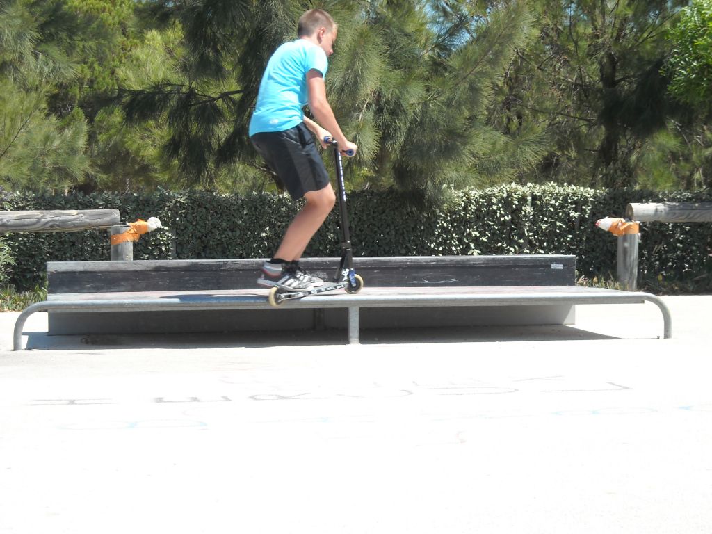 http://trotirider.com/forum/userimages/5/DSCN2466.JPG