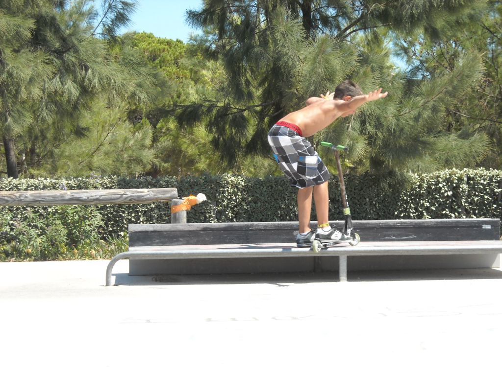http://trotirider.com/forum/userimages/5/DSCN2475.JPG
