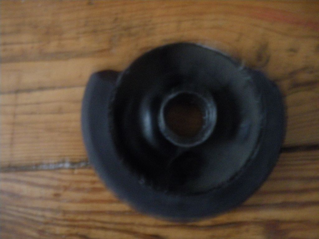 http://trotirider.com/forum/userimages/5/IMGP3969-1.JPG