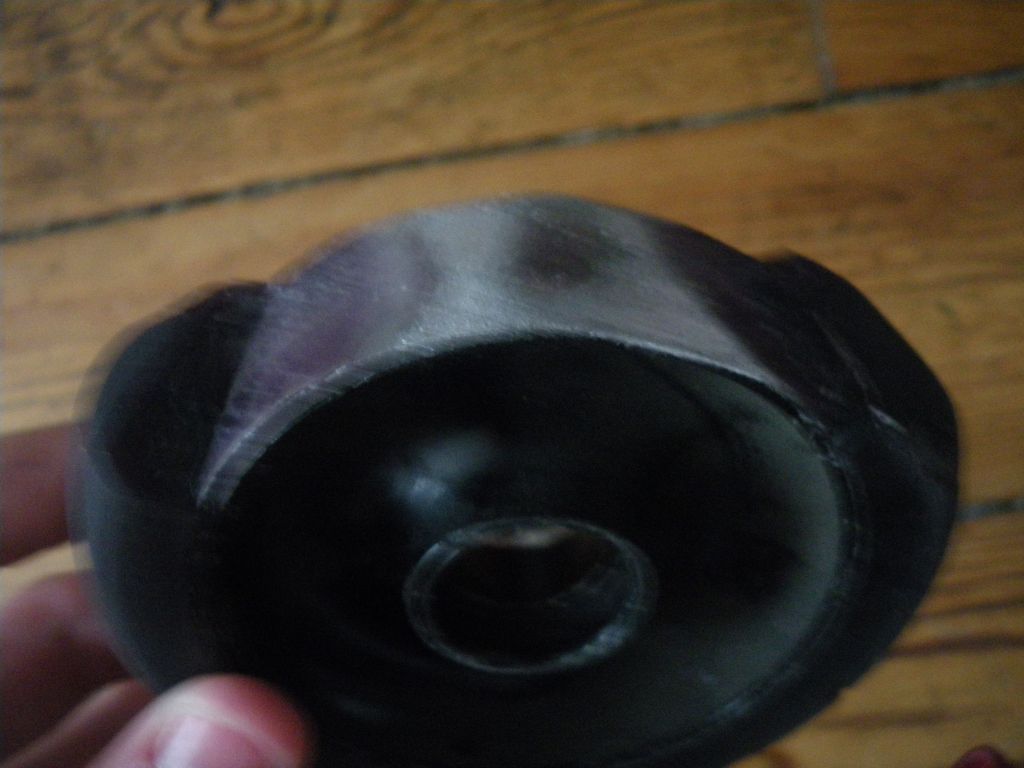 http://trotirider.com/forum/userimages/5/IMGP3971.JPG