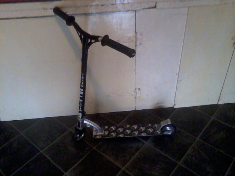 http://trotirider.com/forum/userimages/5/Photo0058-3.jpg