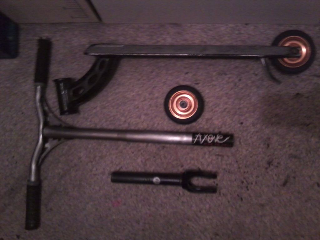 http://trotirider.com/forum/userimages/5/Photo0189.jpg