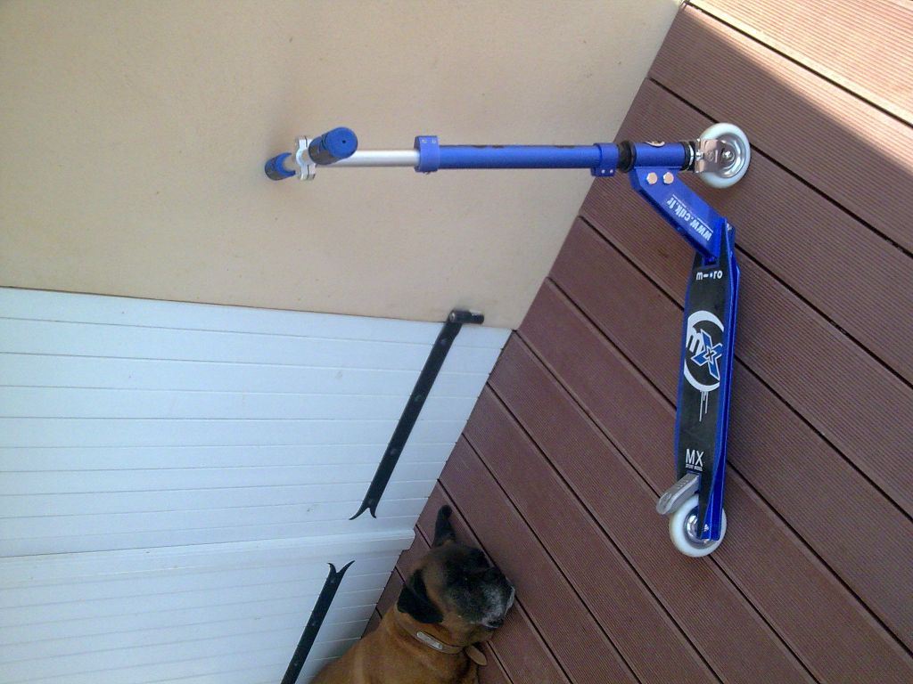 http://trotirider.com/forum/userimages/5/Photo0231-1-.jpg