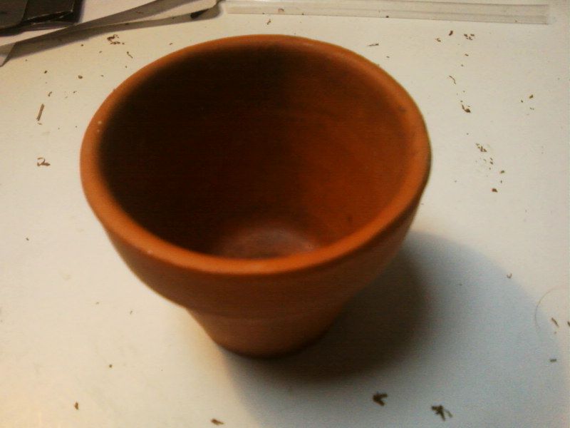 http://trotirider.com/forum/userimages/5/Photos-0064.jpg