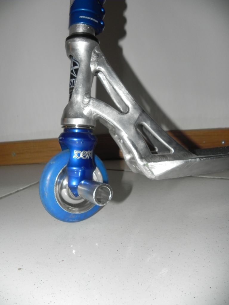 http://trotirider.com/forum/userimages/6/DSCN9651.JPG