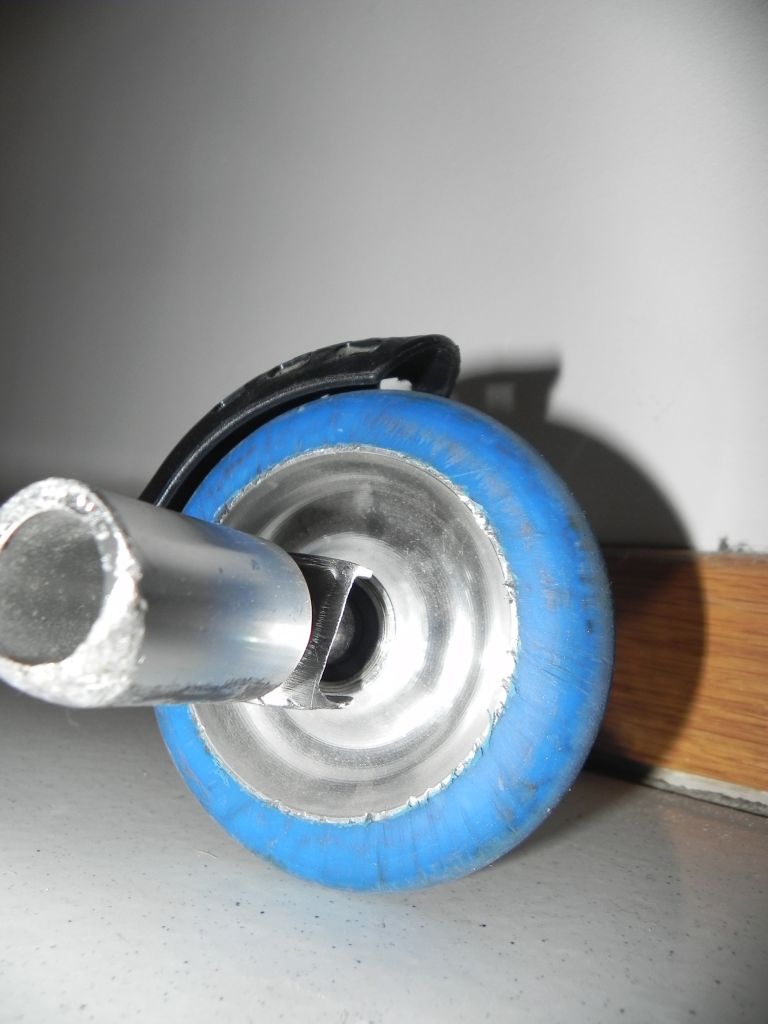 http://trotirider.com/forum/userimages/6/DSCN9652.JPG