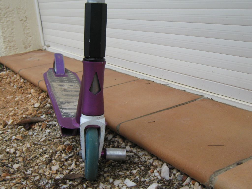 http://trotirider.com/forum/userimages/6/IMG-1949.JPG