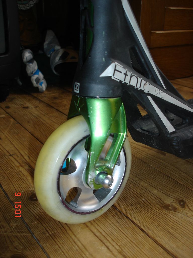 http://trotirider.com/forum/userimages/6/declare-a-vendre-002.JPG